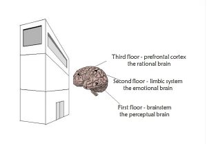 model-of-brain